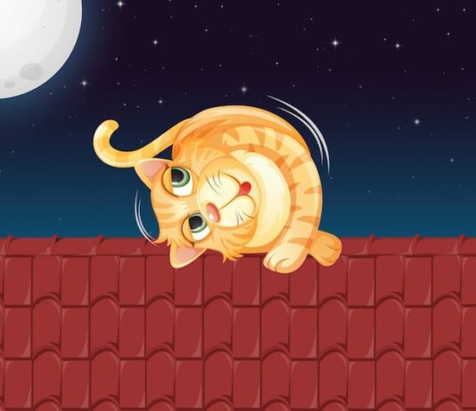 Кету в 12 доме, Раху в 6: Астрологический анализ