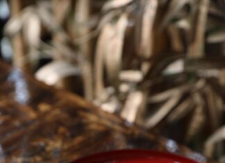 Корейская морковь и шампиньоны в аппетитном салате