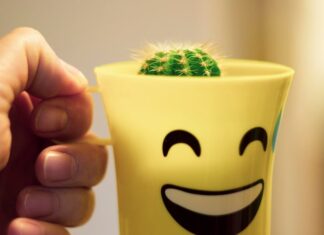 Прикольные статусы в WhatsApp со смыслом