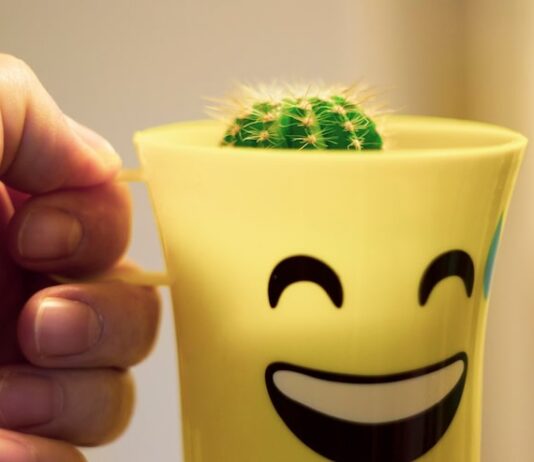 Прикольные статусы в WhatsApp со смыслом