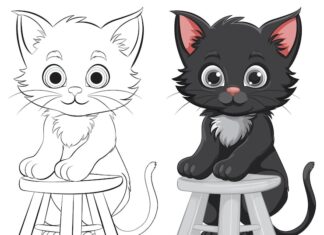 Черно-белый котенок во сне: толкование