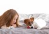 К чему снится маленький щенок незамужней женщине