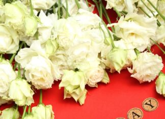 Слова благодарности на день рождения