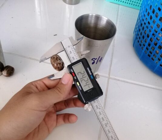 Измерение омического сопротивления мультиметром