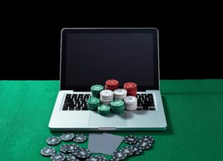 Чип и Дип Владимир: Официальный сайт