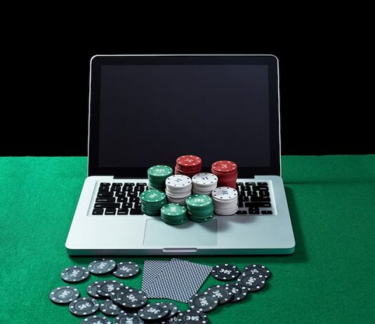 Чип и Дип Владимир: Официальный сайт