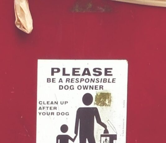 Плакат для туалета: призываем к чистоте