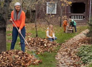 Сон о подметании земли: толкование
