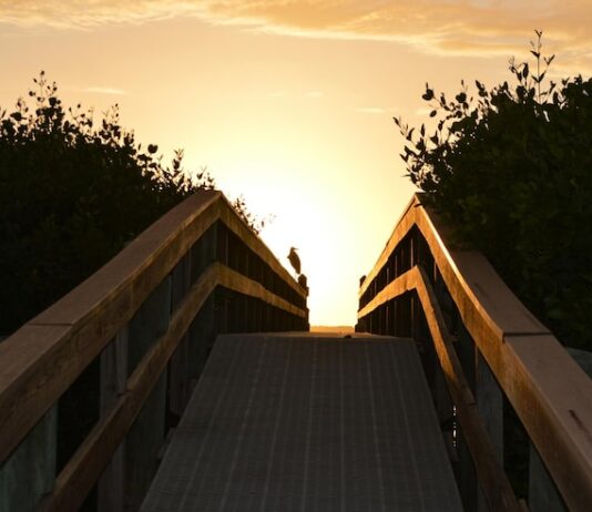 Солнце в 4 доме партнера