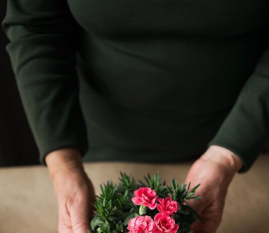 Цветущие цветы в горшках во сне: значение