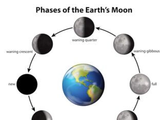Луна в Солнечной системе: спутник или планета?