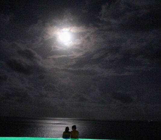 Луна партнера в 12 доме: влияние на синастрию