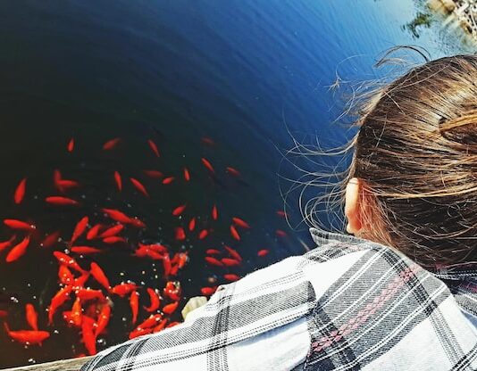 Видеть во сне живую рыбу: значение для женщин