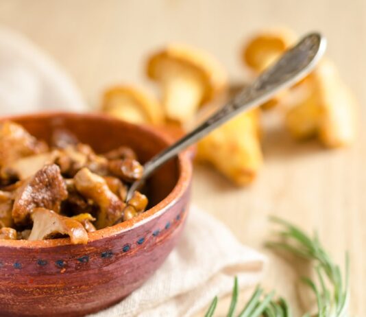 Лесные грибы: идеи для вкусных блюд