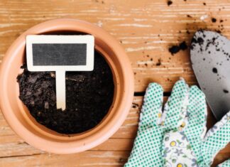 Земля во сне: к чему снится черная земля в огороде