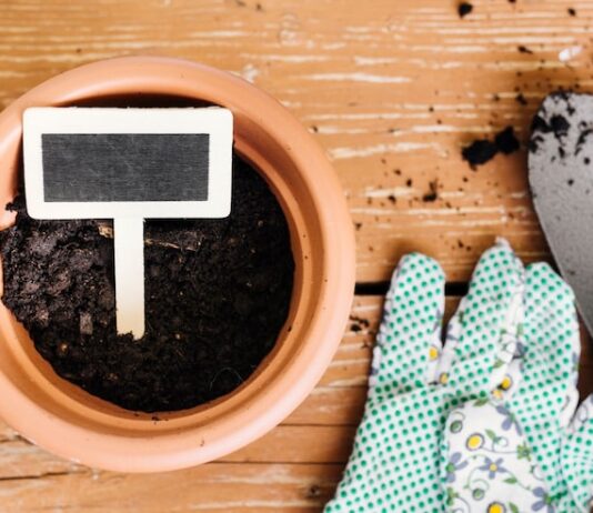 Земля во сне: к чему снится черная земля в огороде