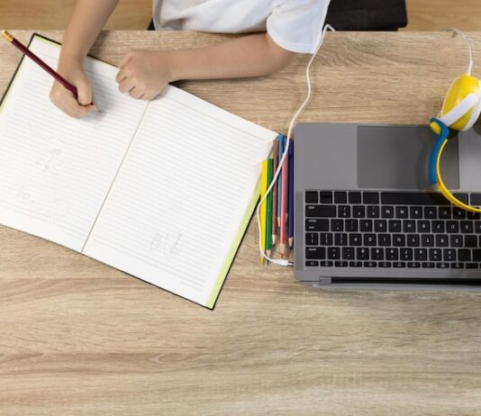 Электронный дневник школьника: Новосибирская область, личный кабинет