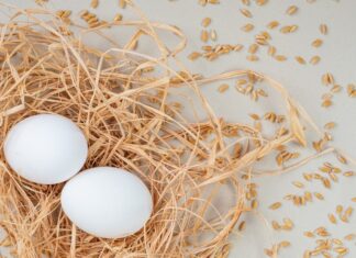 Толкование сна: яйца в гнезде