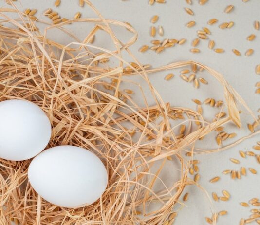 Толкование сна: яйца в гнезде