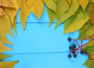 Скачать Winpic800 на русском бесплатно