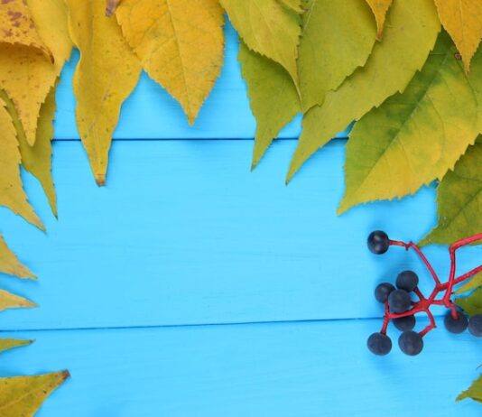 Скачать Winpic800 на русском бесплатно