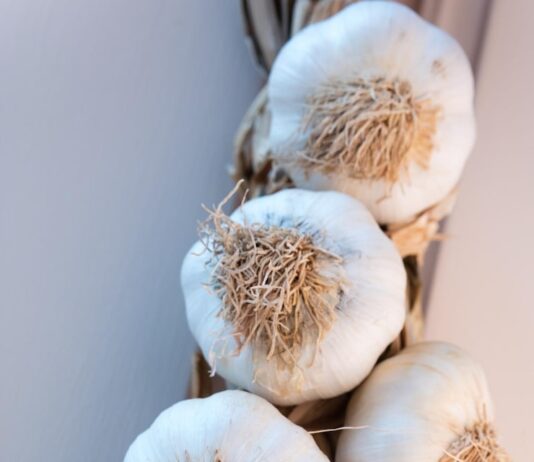 Чеснок во сне: толкование сна о множестве крупных зубков