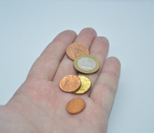 5 монет: да или нет