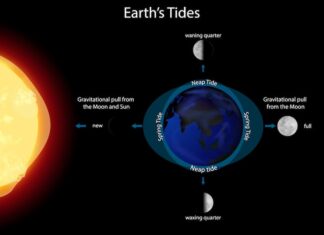 Венера и Земля: Сравнение планет