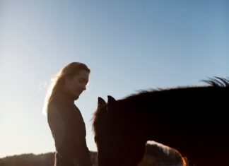 Сон о мертвом жеребенке: толкование