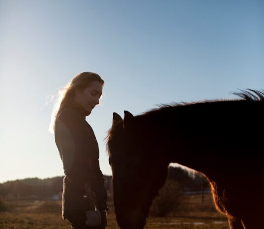 Сон о мертвом жеребенке: толкование