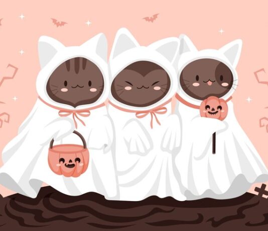 Смерть котят во сне: толкование