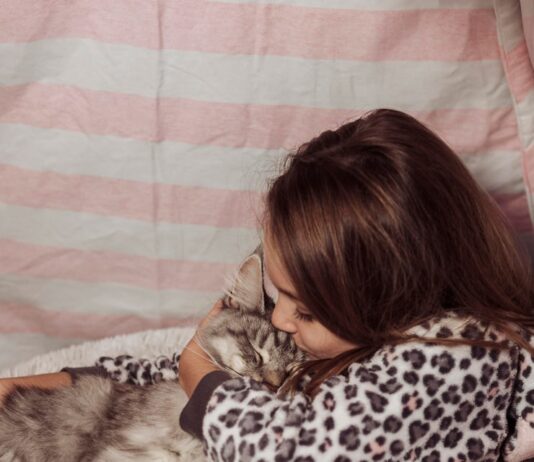 Сонник: Маленькие котята для женщин