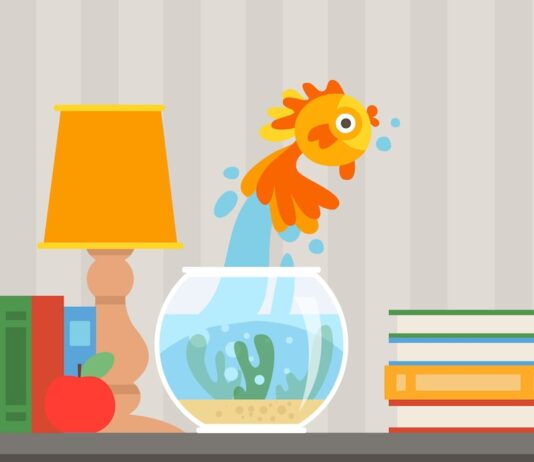 Грязный аквариум во сне: толкование