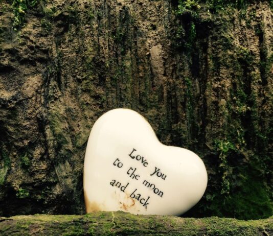 Цитаты о природе: мудрость в словах