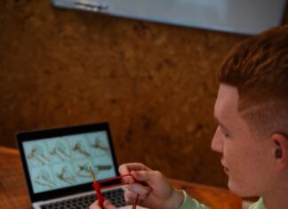 Примерка на Wildberries: Пошаговое Руководство