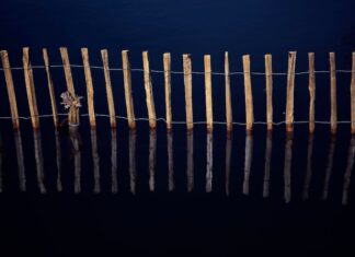 Сон о деревянном заборе