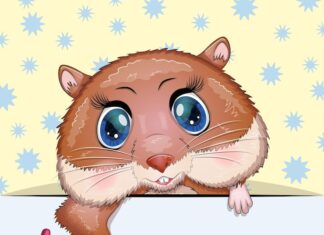 Имена для сирийского хомяка мальчика