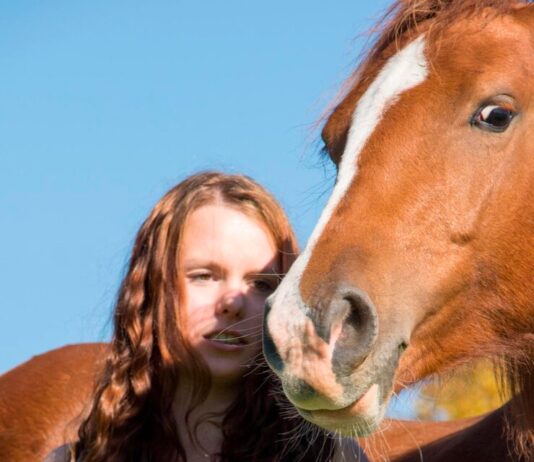 К чему снятся рыжие коровы