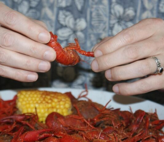 Раки во сне: толкование для мужчин
