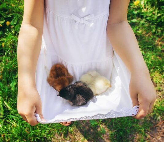 Муравьи во сне беременной: толкование