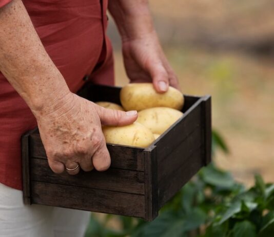 Толкование сна: собирать картошку