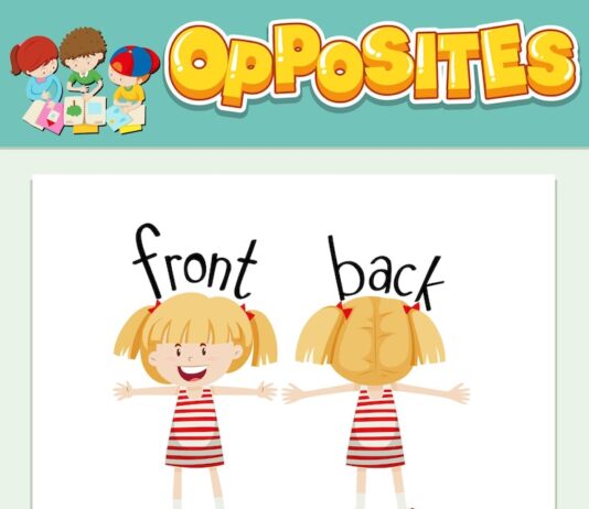 Милые прозвища для любимых