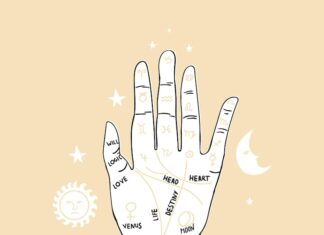 Линия Солнца в Хиромантии