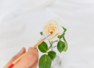 Толкование сна: одна роза