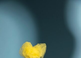 Сны о показах мод: толкование и значение