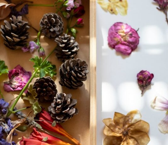 Значение и происхождение имени Флора