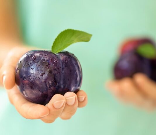 Сонник: Значение желтой сливы во сне