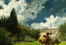 Сухой корм для собаки: алгоритм выбора от состава до миски